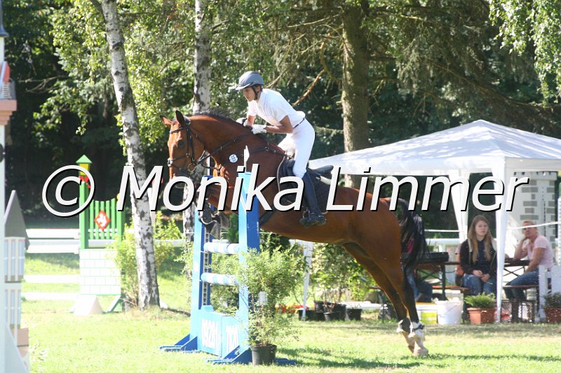 308M1502_Kolando_Spring L.JPG